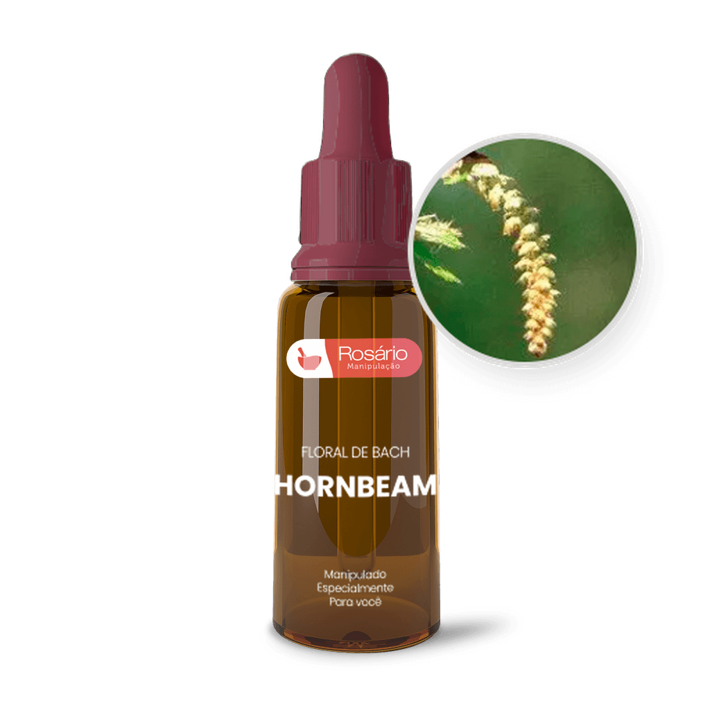 Imagem não encontrada